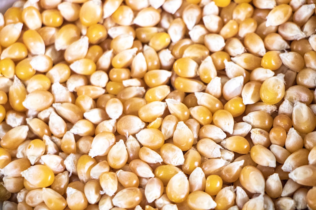 Jak zrobić wegańską pizzę w domu? – najlepsze przepisy i pomysły na dodatki