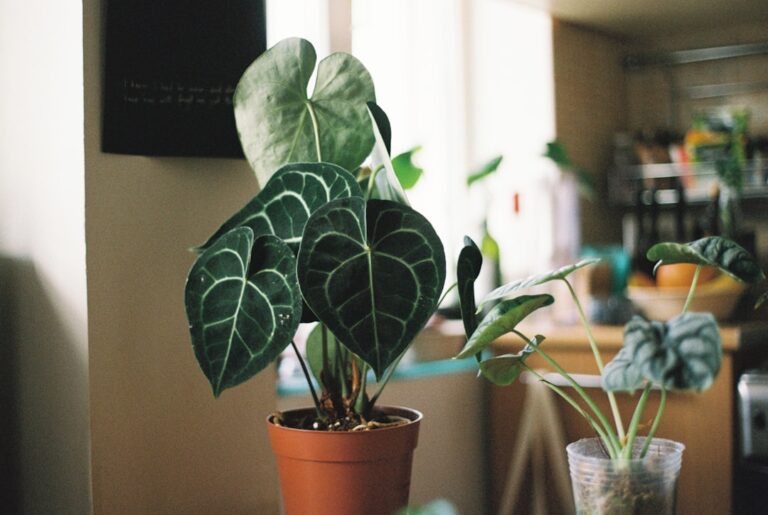 Gotowanie z dziećmi – wegańskie przepisy na ciekawe i zdrowe posiłki dla całej rodziny